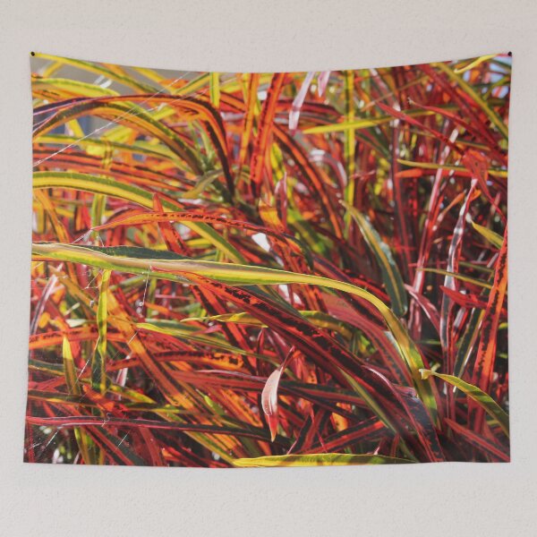 Item preview, Nature's Confetti designed and sold by cuprum.