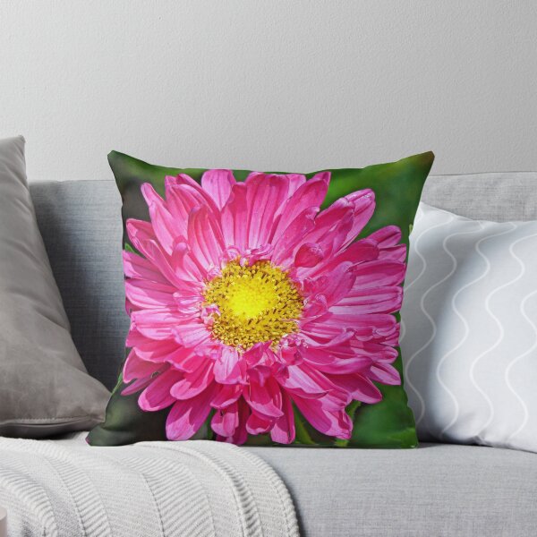 Item preview, Pretty in Pink designed and sold by Frankie Cat Photography.