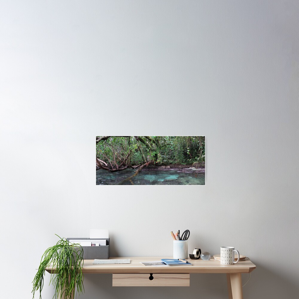 Jungle Shoreline III Poster