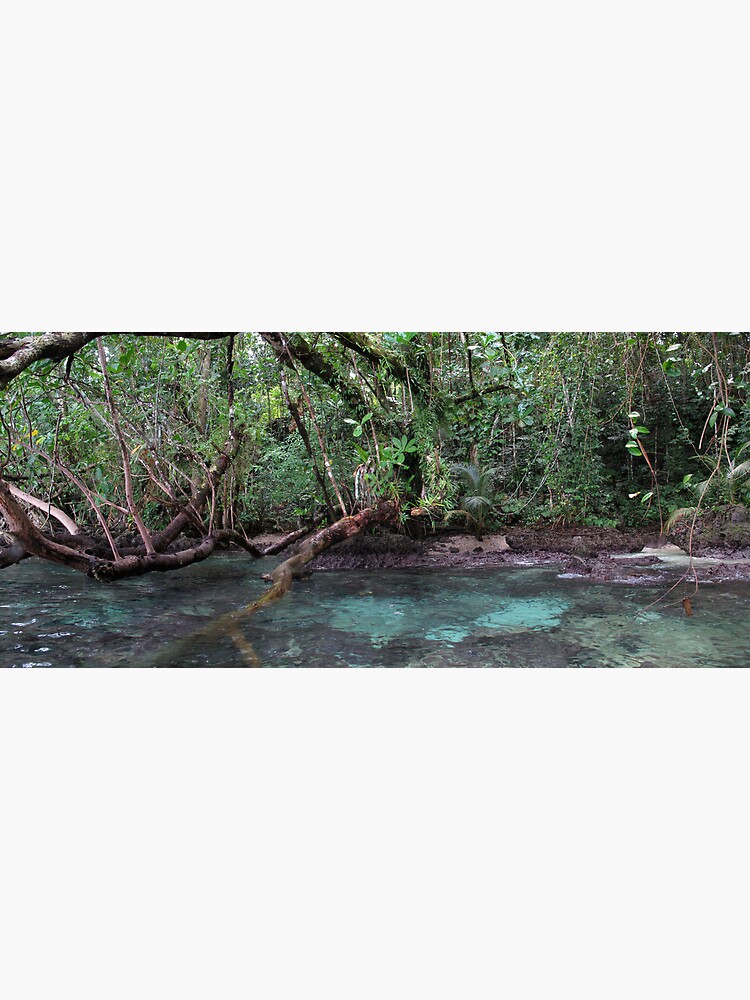 Jungle Shoreline III by neoniphon