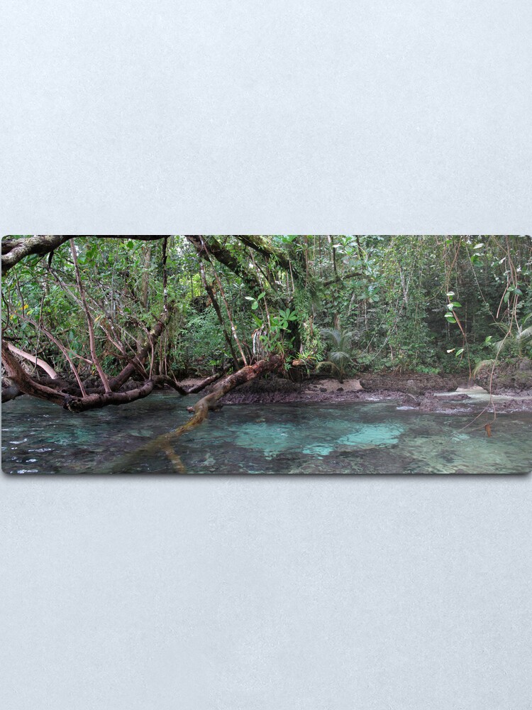Alternate view of Jungle Shoreline III Metal Print