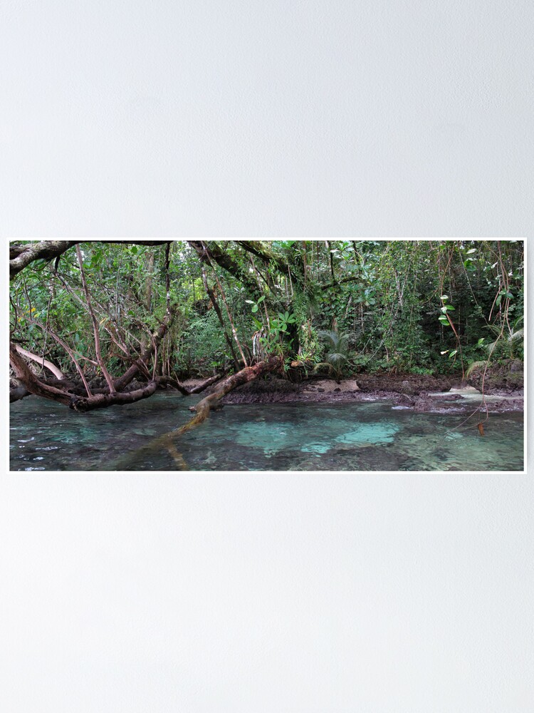 Alternate view of Jungle Shoreline III Poster