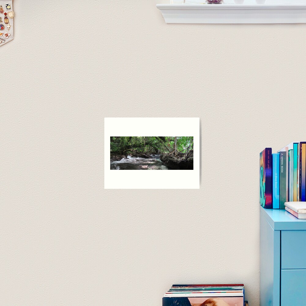 Jungle Shoreline IV Art Print