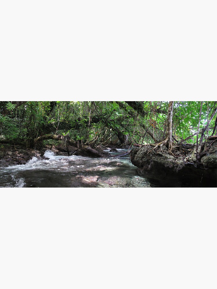 Jungle Shoreline IV by neoniphon