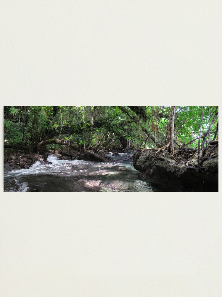 Alternate view of Jungle Shoreline IV Photographic Print