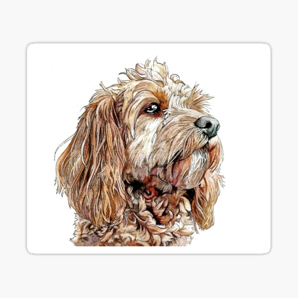 Item preview, Cockapoo watercolour designed and sold by tillyandblue.