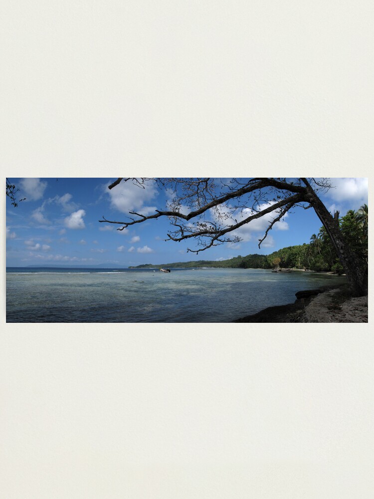 Alternate view of The View at Titiana Point. Photographic Print