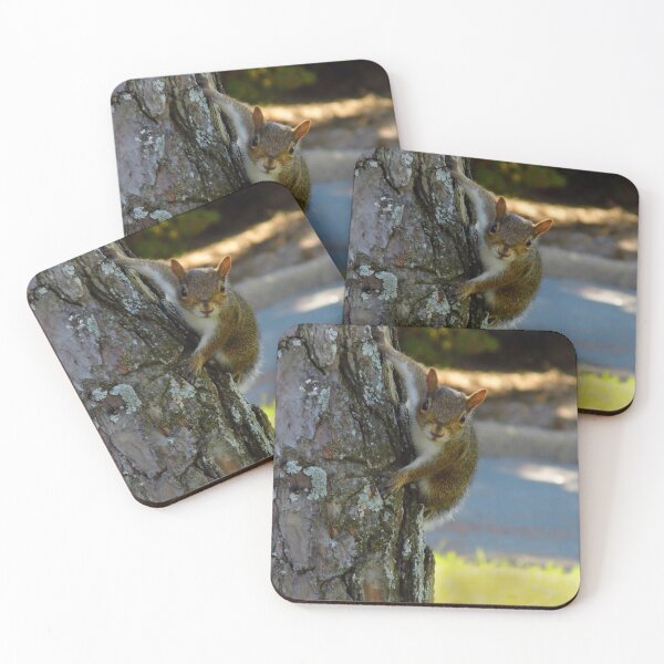 Item preview, The Marriott Hotel Squirrel designed and sold by WildestArt.