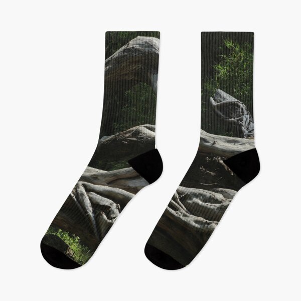 Item preview, Fallen Tree in the forest designed and sold by Anna Lemos.