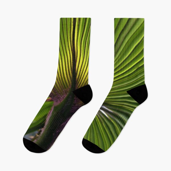 Item preview, Tropical Palm Leaf designed and sold by Anna Lemos.