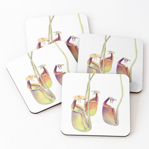 Item preview, Nepenthes bicalcarata | carnivorous plant | pitcher plant  designed and sold by Carnivorous  Plant Club ⭐⭐⭐⭐⭐.