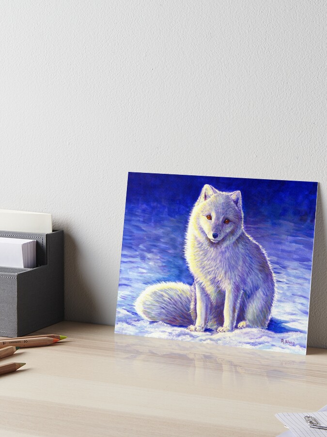 Friedlicher Winter Polarfuchs Galeriedruck Von Lioncrusher Redbubble