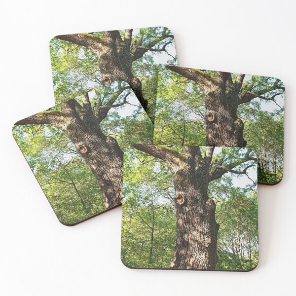 Item preview, centenarian oak tree low angle view designed and sold by mrivserg.