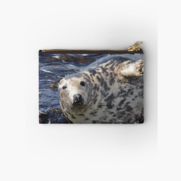 Item preview, A Grey Seal (Halichoerus grypus) basking on rocks designed and sold by Chris Monks.