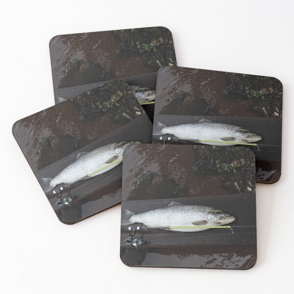 Item preview, big trout fish  designed and sold by mrivserg.