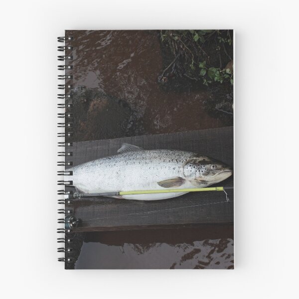 Item preview, big trout fish  designed and sold by mrivserg.