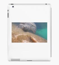 Snapping Turtle iPad Case/Skin