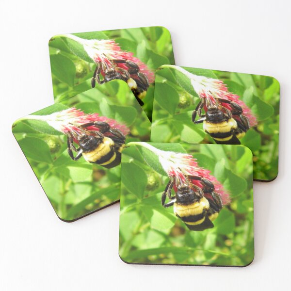 Item preview, Ride 'Em CowBEE(?) designed and sold by WildestArt.