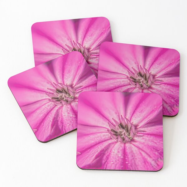 Item preview, #96 Lychnis coronaria - Rose Campion designed and sold by phutball.