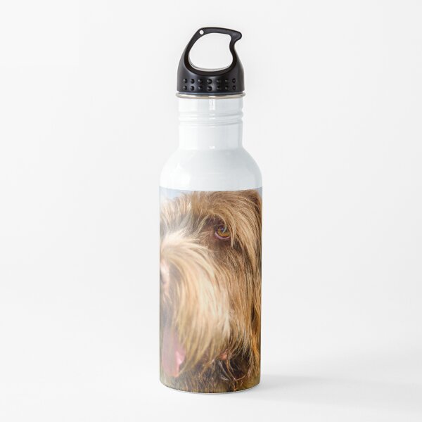 Sunshine Spinone days Water Bottle