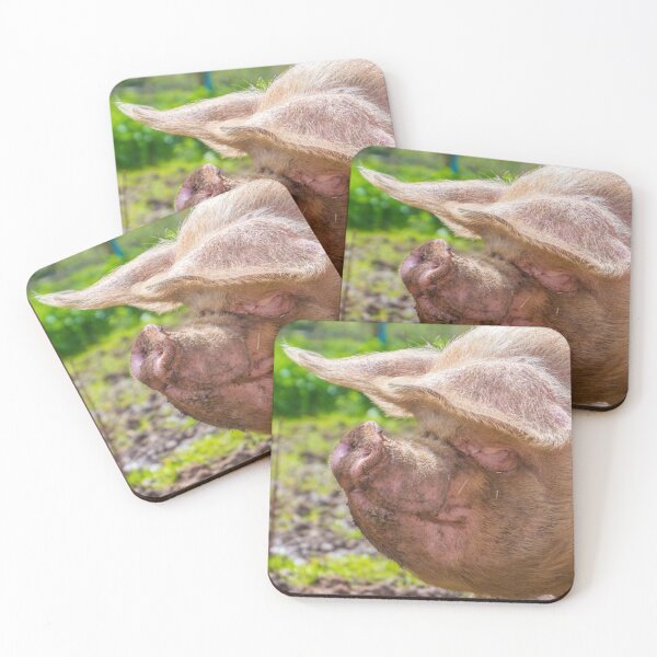 Item preview, #101 Pet Pig at Manor organic Farm. designed and sold by phutball.