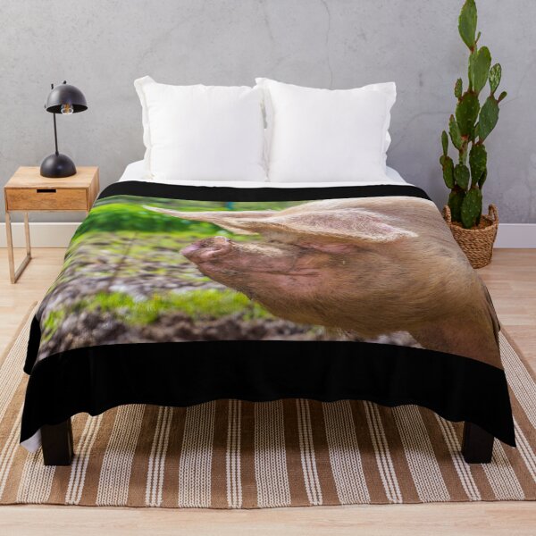 Item preview, #101 Pet Pig at Manor organic Farm. designed and sold by phutball.