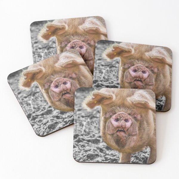 Item preview, #102 The Pet Pig at Manor Organic Farm designed and sold by phutball.