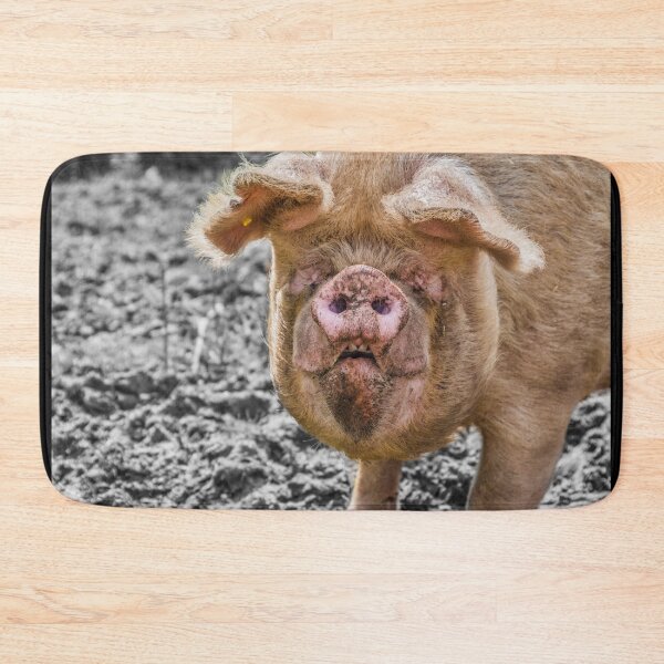 Item preview, #102 The Pet Pig at Manor Organic Farm designed and sold by phutball.
