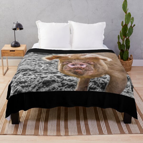 Item preview, #102 The Pet Pig at Manor Organic Farm designed and sold by phutball.