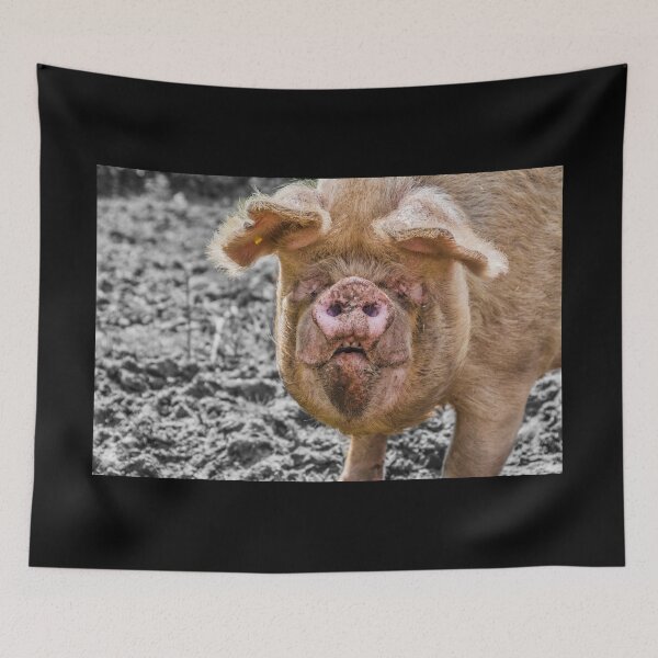 Item preview, #102 The Pet Pig at Manor Organic Farm designed and sold by phutball.