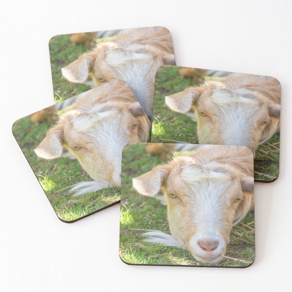 Item preview, #103 Pet Goat at Manor Organic Farm designed and sold by phutball.