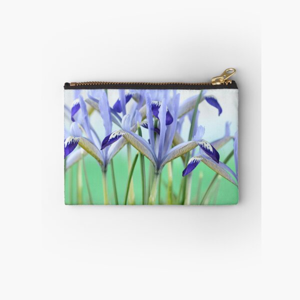 Item preview, Iris & # 39; Clairette & # 39; Reticulata designed and sold by Chris Burrows.