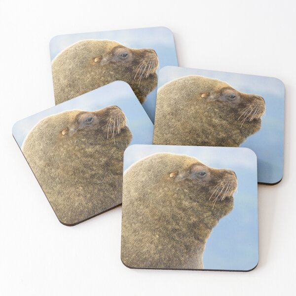Item preview, Weddell Seal in Beagle Channel, Ushuaia - Argentina designed and sold by holgermader.