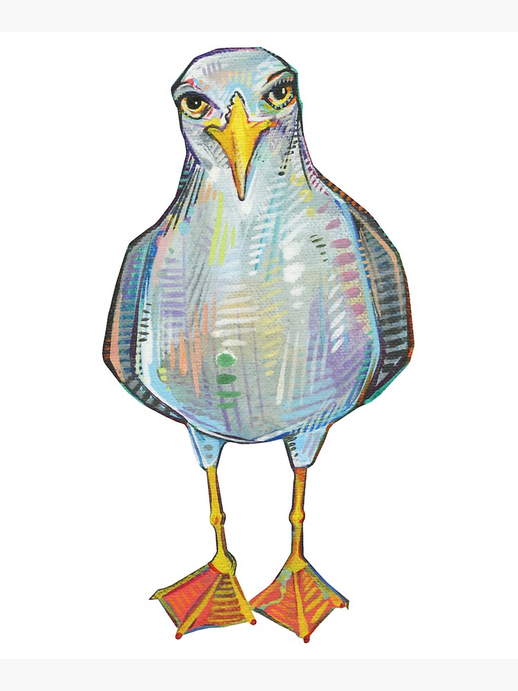Gull on blank background by gwennpaints