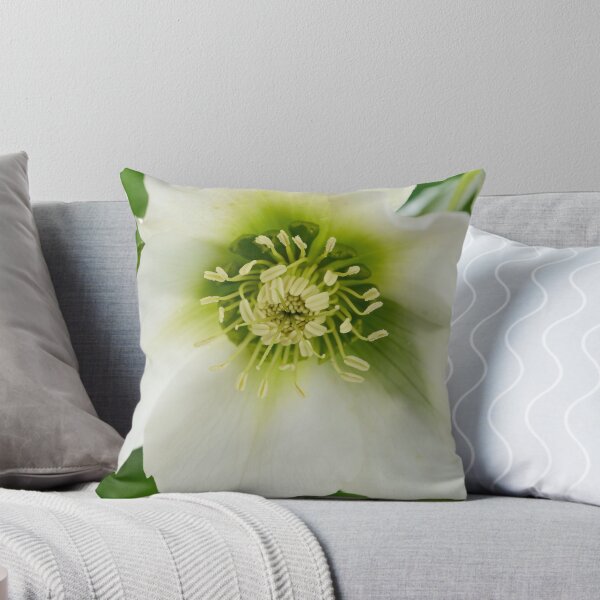 Item preview, Helleborus x hybridus  'Pretty Ellen White'  Hellebore  designed and sold by Chris Burrows.