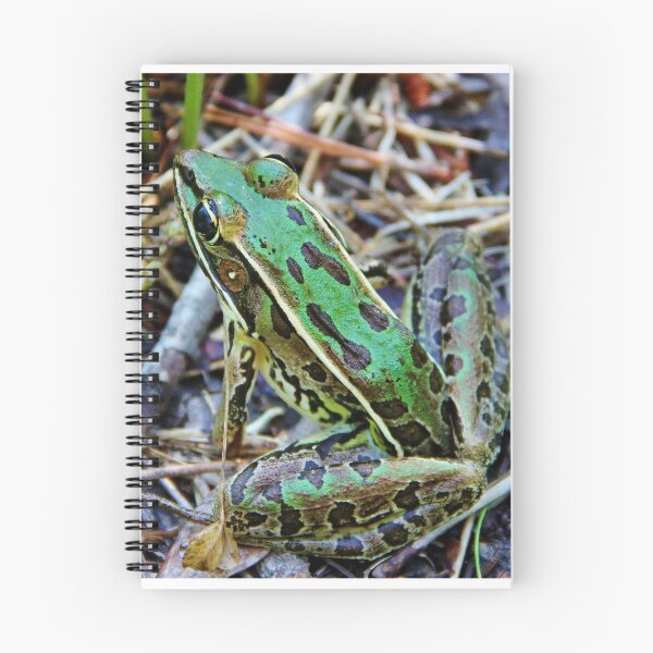 Artikelvorschau, Frosch entworfen und verkauft von Alberto DeJesus.