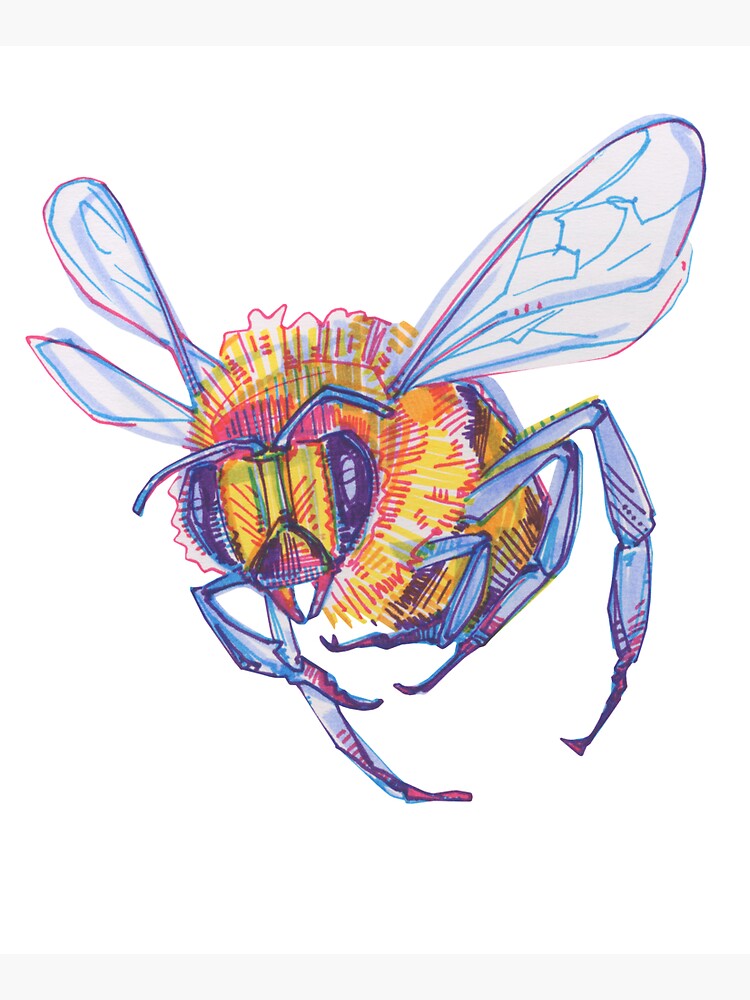 Bee drawing - 2013 by gwennpaints