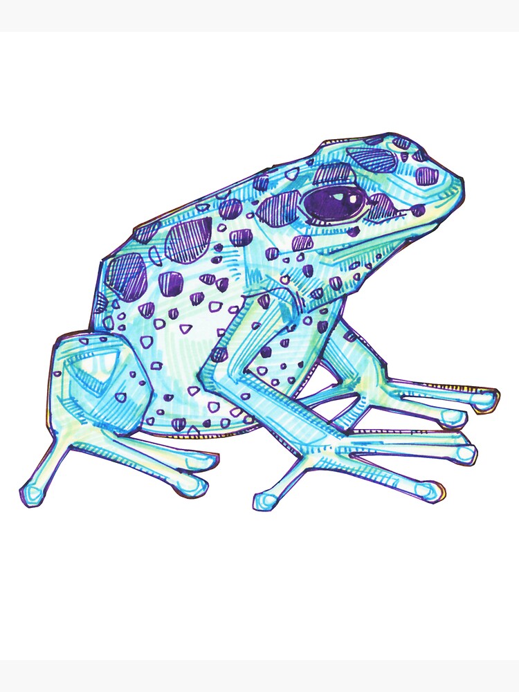 Blue poison dart frog drawing - 2017 by gwennpaints