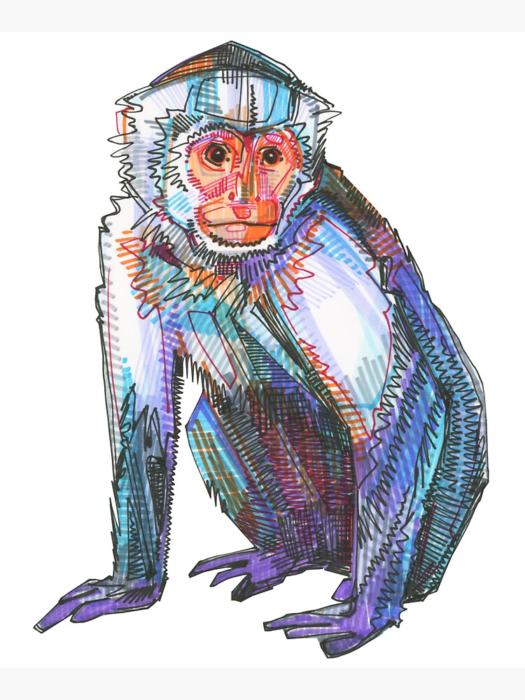 Capucin monkey drawing - 2015 by gwennpaints