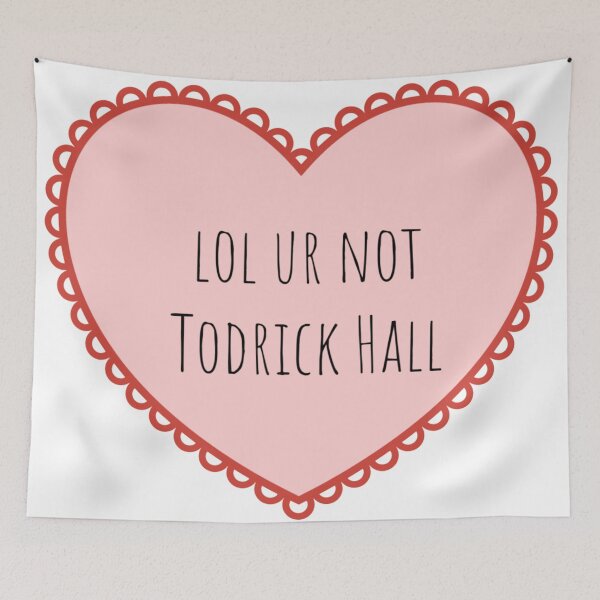 Item preview, lol ur not Todrick Hall designed and sold by girlyswantbooks.