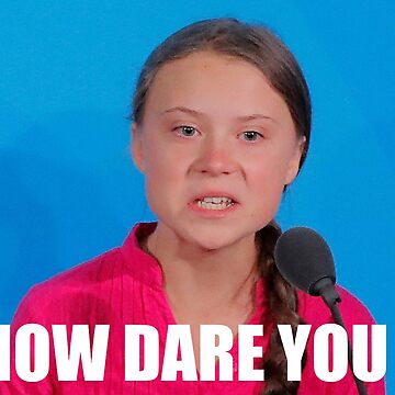 Artwork thumbnail, Greta Thunberg - How Dare You by TCam