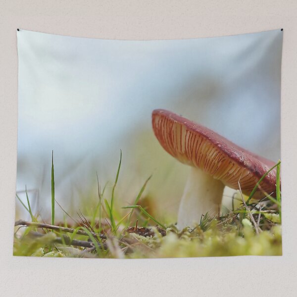 Item preview, Russula  designed and sold by relayer51.