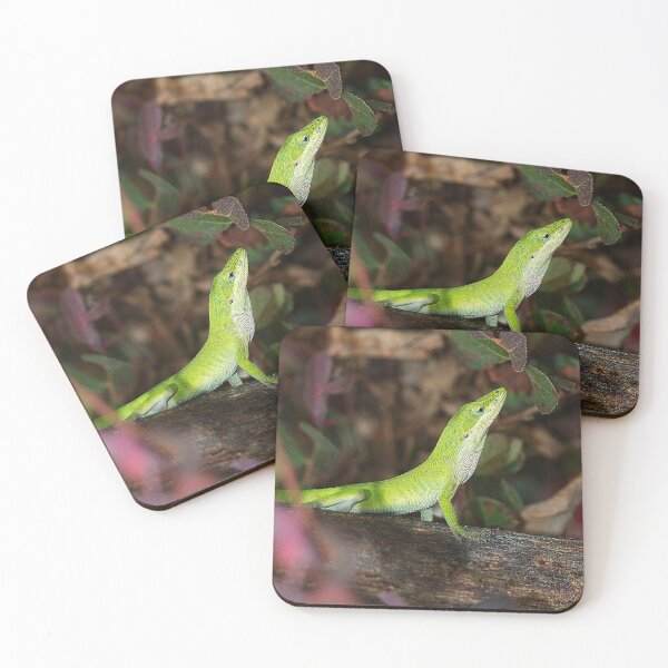 Item preview, "Soy lagarto, escúchame rugir" designed and sold by Brenda Burnett.