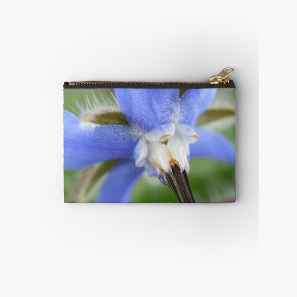 Item preview, Borago officinalis  Borage  designed and sold by Chris Burrows.