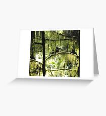 Moss and sunlight Greeting Card