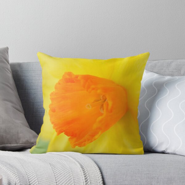 Item preview, Narcissus  'Red Devon'  Division 2 Large-cupped   Daffodil designed and sold by Chris Burrows.