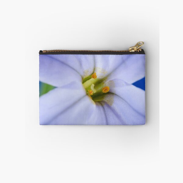 Item preview, Ipheion  'Rolf Fiedler'  AGM  Spring starflower  designed and sold by Chris Burrows.