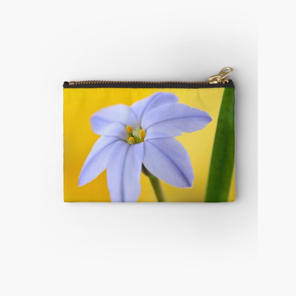 Item preview, Ipheion  'Rolf Fiedler'  AGM  Spring starflower  designed and sold by Chris Burrows.