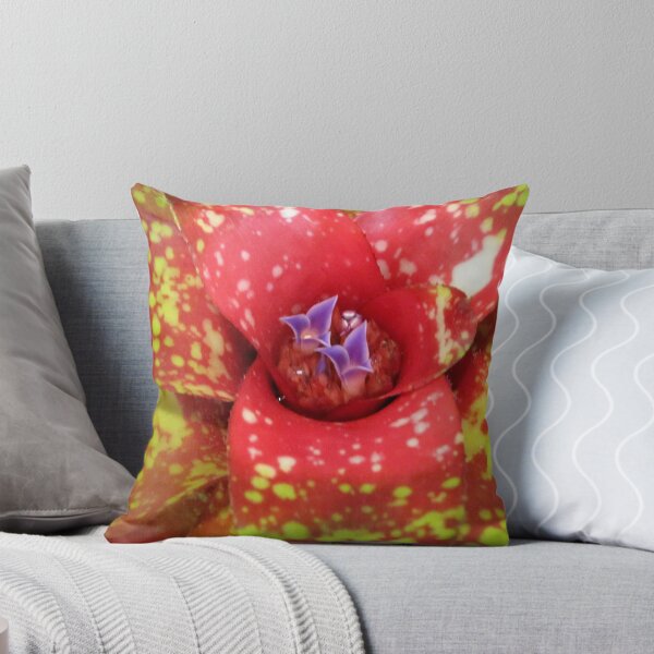 Item preview, Color Me Red Bromeliad designed and sold by rosiebrown.