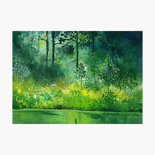 Light n Greens Photographic Print